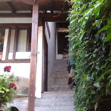 招待所 帕斯霍夫旅馆 *