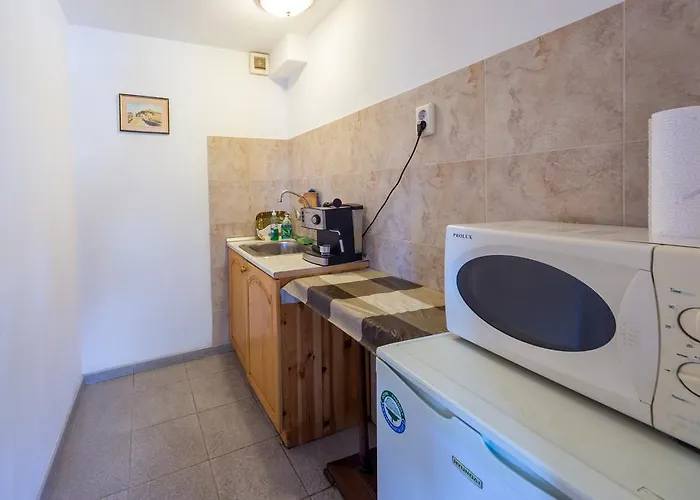 Pashov * Veliko Tărnovo